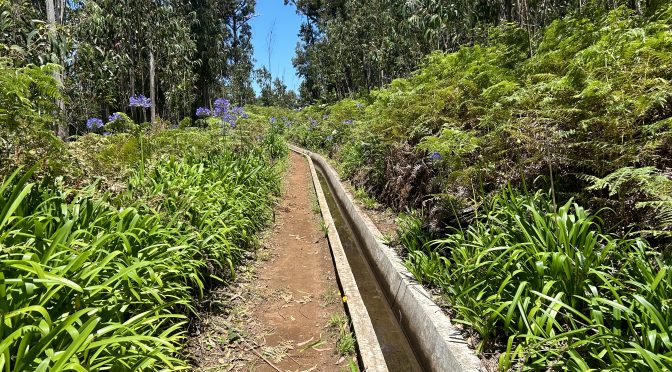 Tag 11 – Levada Nova da Calheta