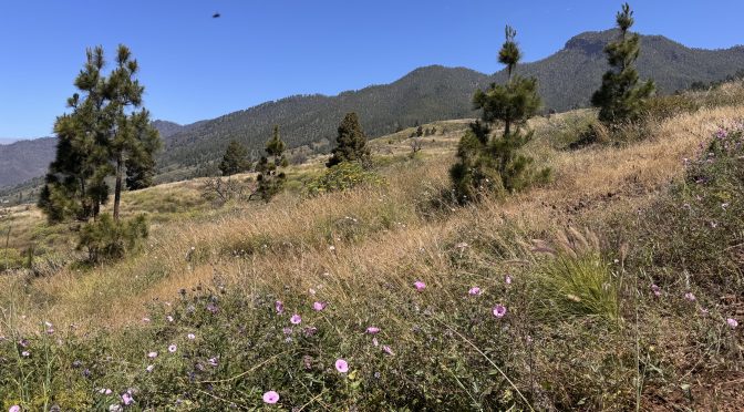 Tag 3 – El Paso und La Cumbrecita