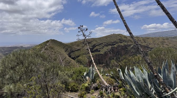 Tag 3 – Caldera am Pico de Bandama