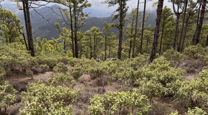 Tag 5 – Tadadamadabadabada (oder so)